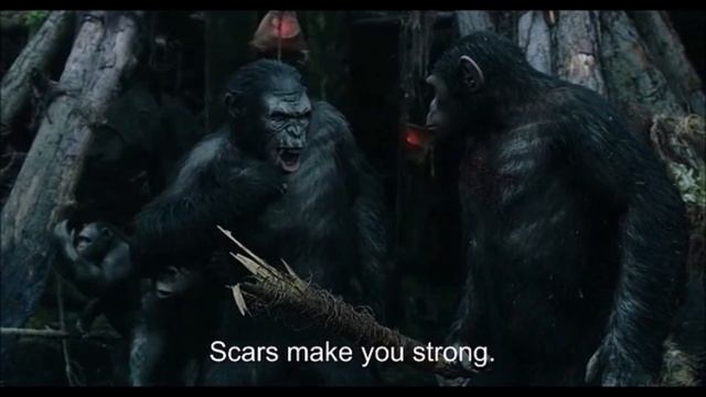 Koba Tribute