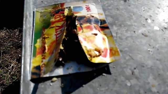 Апилекарь на пасеке Апипроф