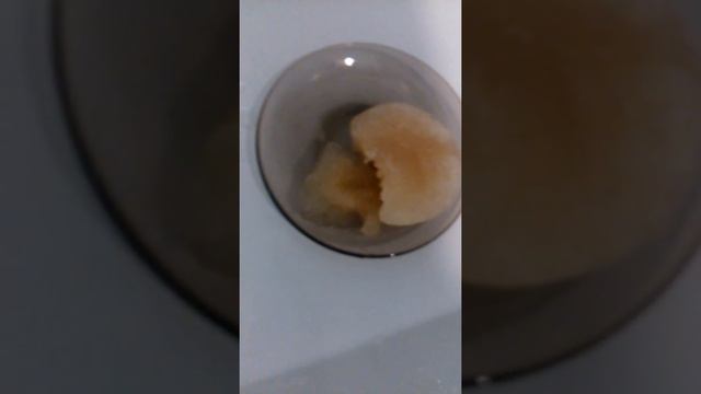 Размораживаю самодельный фруктовый лед!!! смотреть онлайн