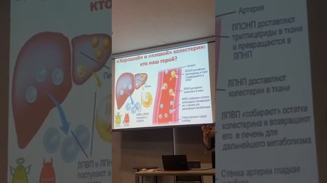 Улучшение функции печени и желчного пузыря с помощью продуктов NSP. Лектор: к.м.н Рачок Л. В смотреть онлайн