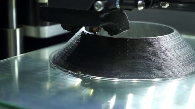 Выращиваем конус в домашних условиях смотреть онлайн
