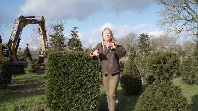 Why Topiary is GREAT смотреть онлайн