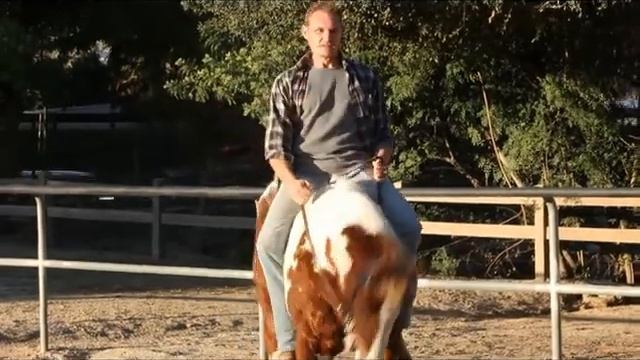 John Bowman Does Horse Stunts смотреть онлайн