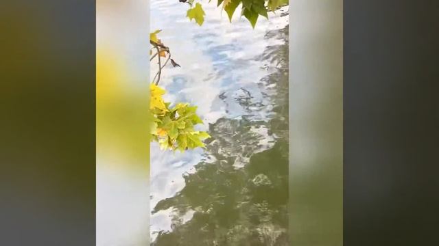 Цюрих, Швейцария смотреть онлайн