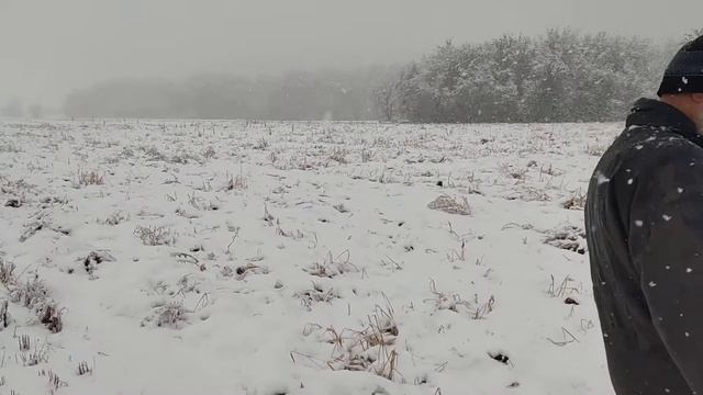 Лён под снегом. Будет ли уборка в этом году? смотреть онлайн