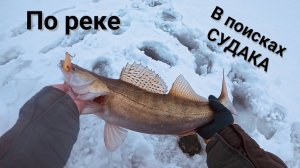 СУДАК на ВИБЫ!!! Рыбалка в январе 2025!!!