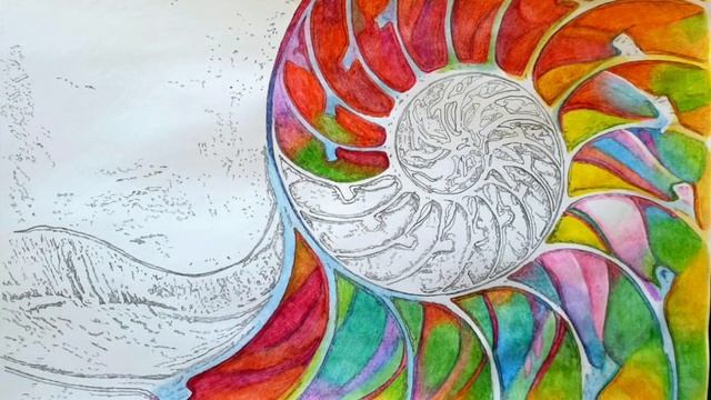 Fibonacci spiral смотреть онлайн