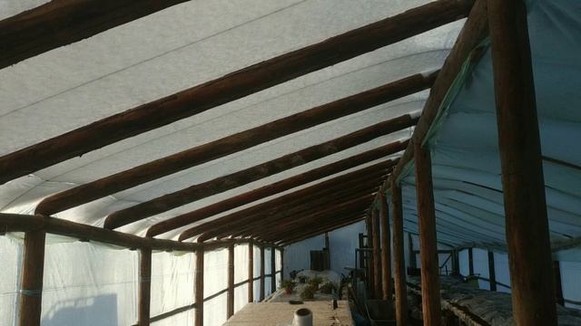 ТЕПЛИЧНЫЙ БИЗНЕС НА ЦВЕТАХ