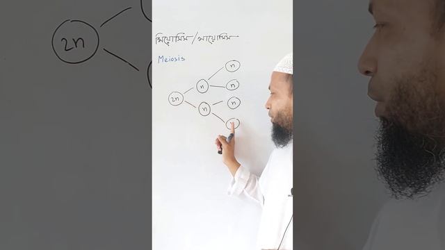 মিয়োসিস কোষ বিভাজন | Meiosis cell division | Classical Homeopathy смотреть онлайн