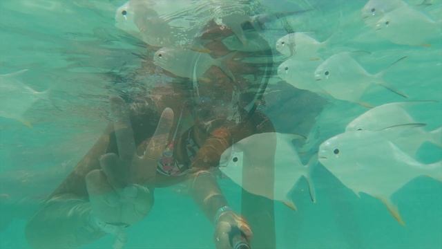 Cayo coco - Pullman -Juin 2022 смотреть онлайн