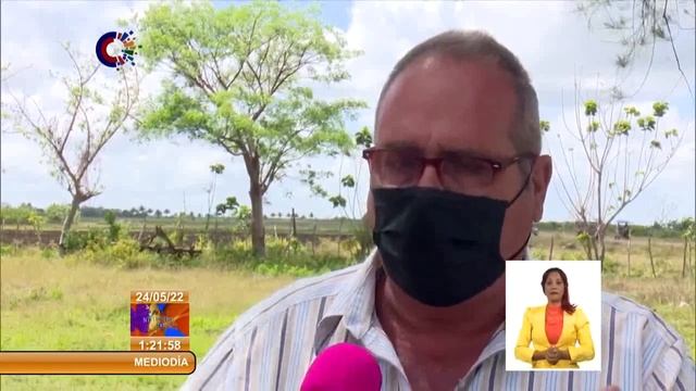 Cuba: Implementan estrategia integral en polo productivo de Los Cocos смотреть онлайн