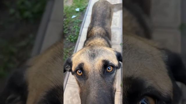 12 августа 2023 г. смотреть онлайн