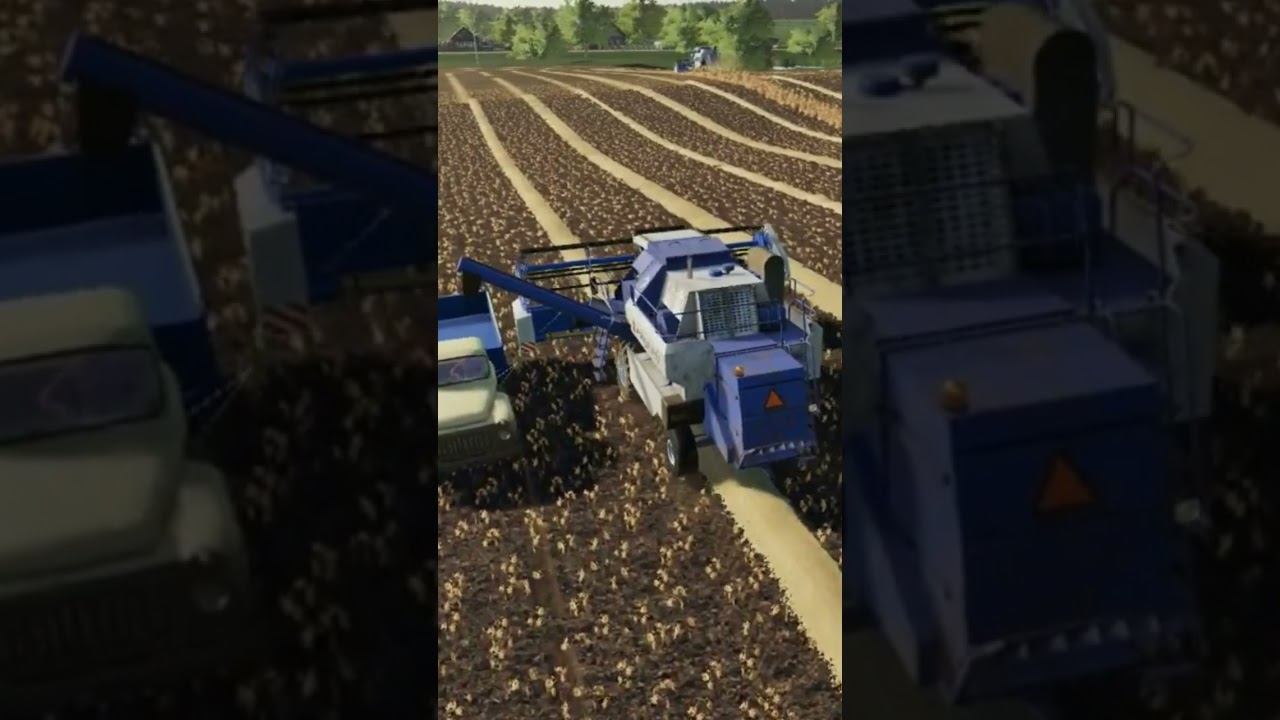 ЕНИСЕЙ-954 #fs22 смотреть онлайн