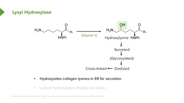 06. Clinical Biochemistry