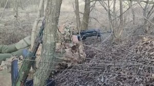 ВСУ массово сдаются в плен СВО