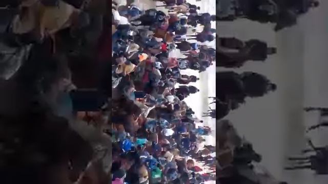 Буз да чамоати хоит смотреть онлайн