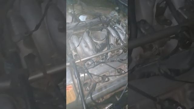 кабан стучит м119 4.2 смотреть онлайн