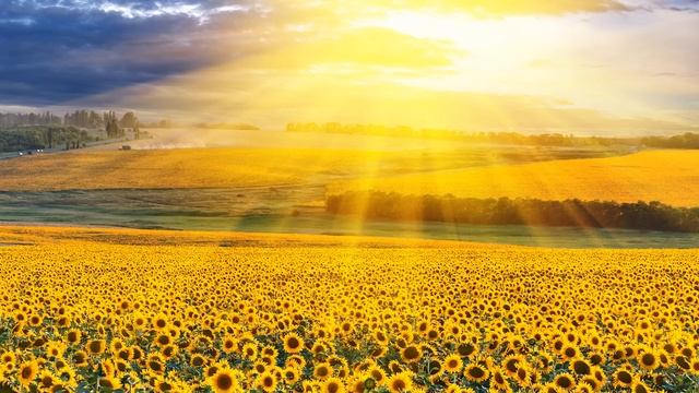 Звуковая и цветотерапия для детоксикации печени, почек и кишечника #9 смотреть онлайн