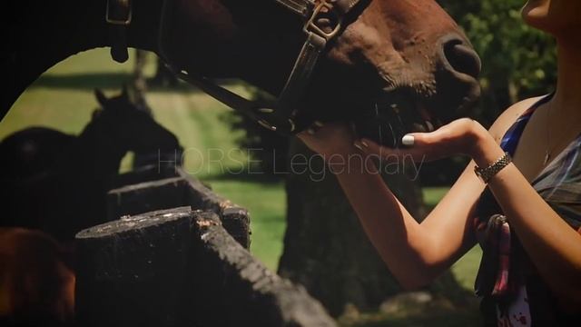 Fearless Horse Racing Music Video