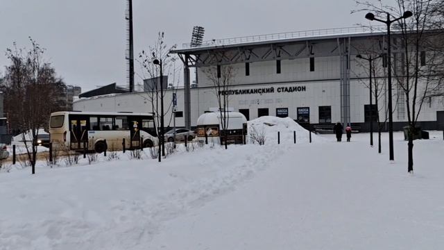 Сыктывкарчане и Лина