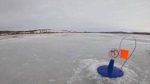 ЩУКА НА ЖЕРЛИЦЫ В ЯНВАРЕ! РЫБАЛКА КАК ПО ПОСЛЕДНЕМУ ЛЬДУ, ВСЕ В ВОДЕ | ЛОВЛЯ ЩУКИ И ОКУНЯ НА ПРУДУ