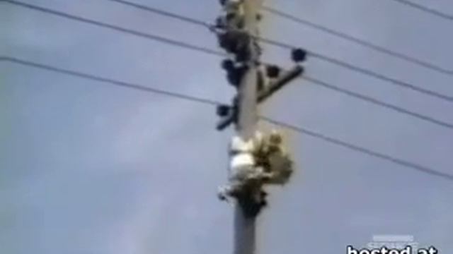 50000 Volt Accident.flv смотреть онлайн