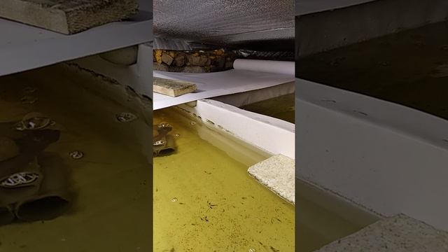 продолжение строительства УЗВ.🦞🦞🦞🦞🦞🦞🦞🦞 смотреть онлайн