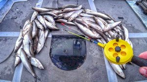 СДЕЛАЛ ПРАВИЛЬНУЮ СНАСТЬ на РИПУСА и НАЛОВИЛ! Рыбалка на рипуса. Увильды