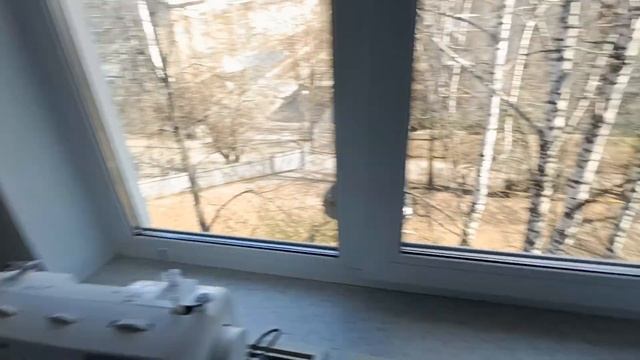 Дзержинского, 65 смотреть онлайн