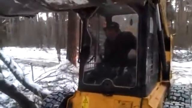 обдирание сосен смотреть онлайн