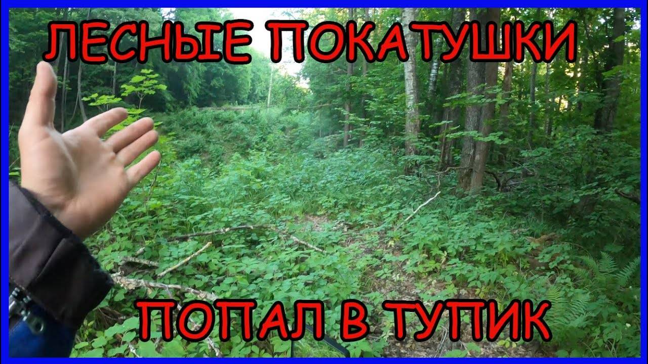 Лесные покатушки на мопеде альфа. Еду через жесткие дебри смотреть онлайн