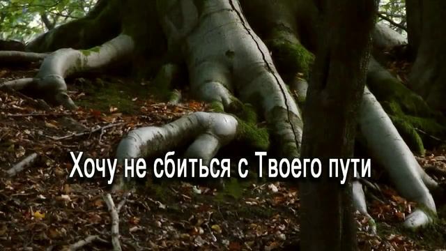 Я так устал смотреть онлайн