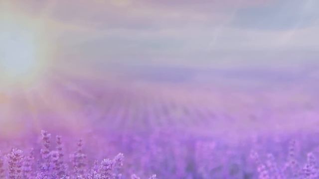 Направленная Медитация для Исцеления Коронной Чакры #7 смотреть онлайн