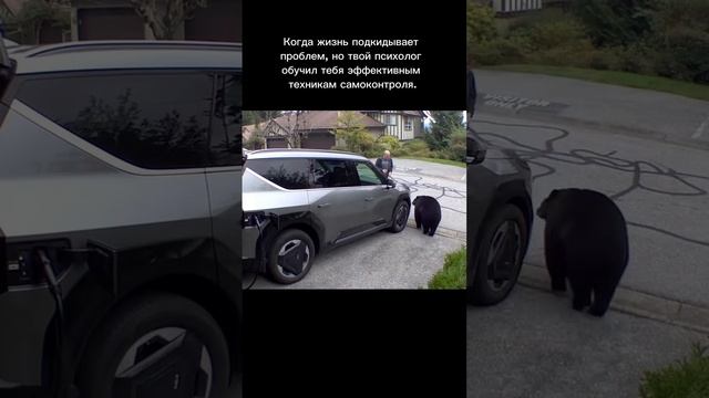 Записывайтесь на консультацию ✅ смотреть онлайн