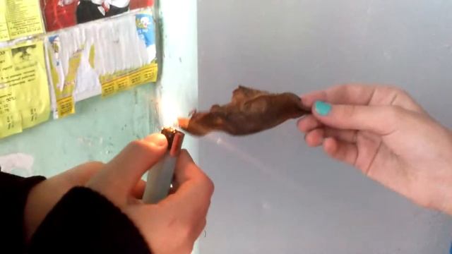 Эййй детка, я стреляю метко)))) смотреть онлайн