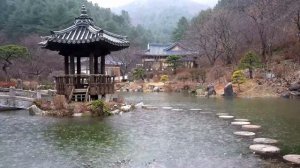 Звук дождя на озере 🌧️ Белый шум ASMR для сна, отдыха, учебы