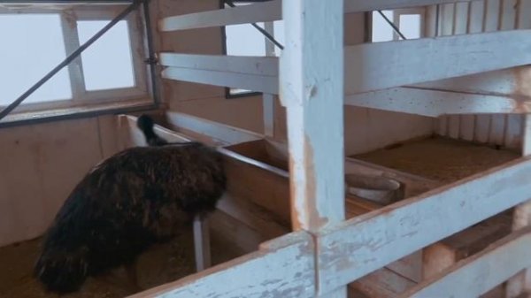 VLOG  ЗАКАДРОВАЯ ЖИЗНЬ ЭКСТРЕМАЛЬНЫХ ПЕРЕПИСОК by egorland— @Egorland @elenaraytman