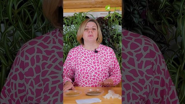 Костная мука для растений! смотреть онлайн