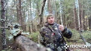 охота на рябчика с 22 wmr