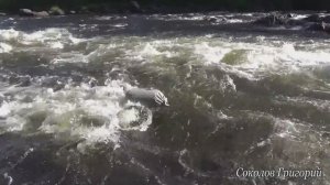 Походная «стиральная машина»