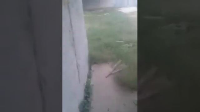 Пранк/ну и чё что не получилось. Эх смотреть онлайн