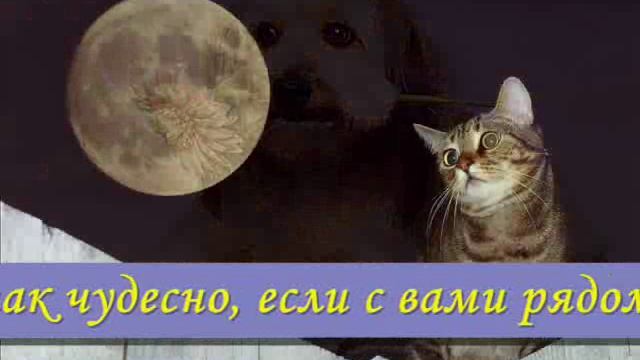 Тоненькие нити смотреть онлайн