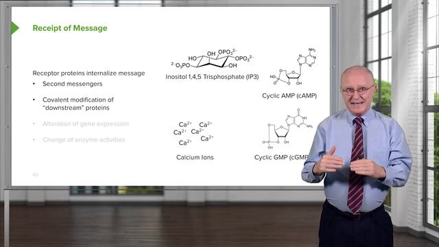 02. Receptors And Messengers
