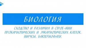 10 класс - Биология - Сравнение строения клеток прокариотов и эукариотов. Вирусы. Бактериофаги