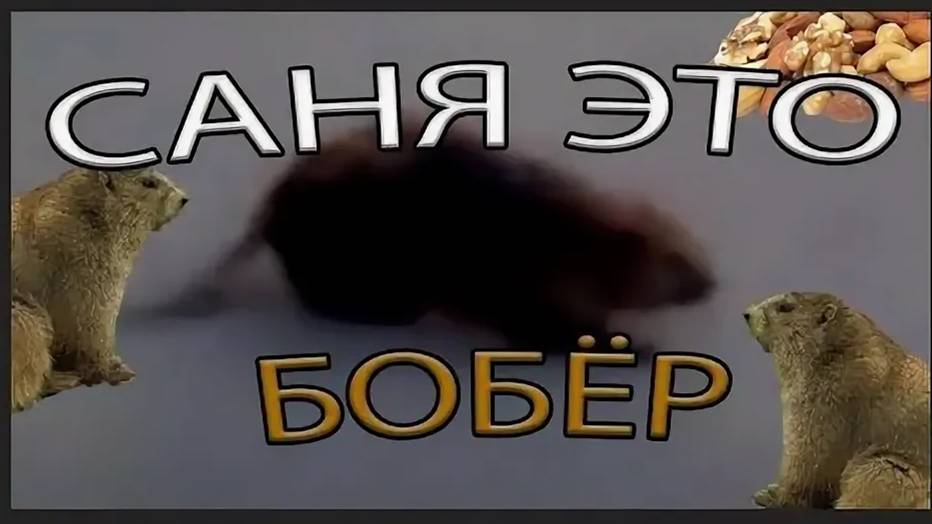 Играем в Deep Rock Galactic