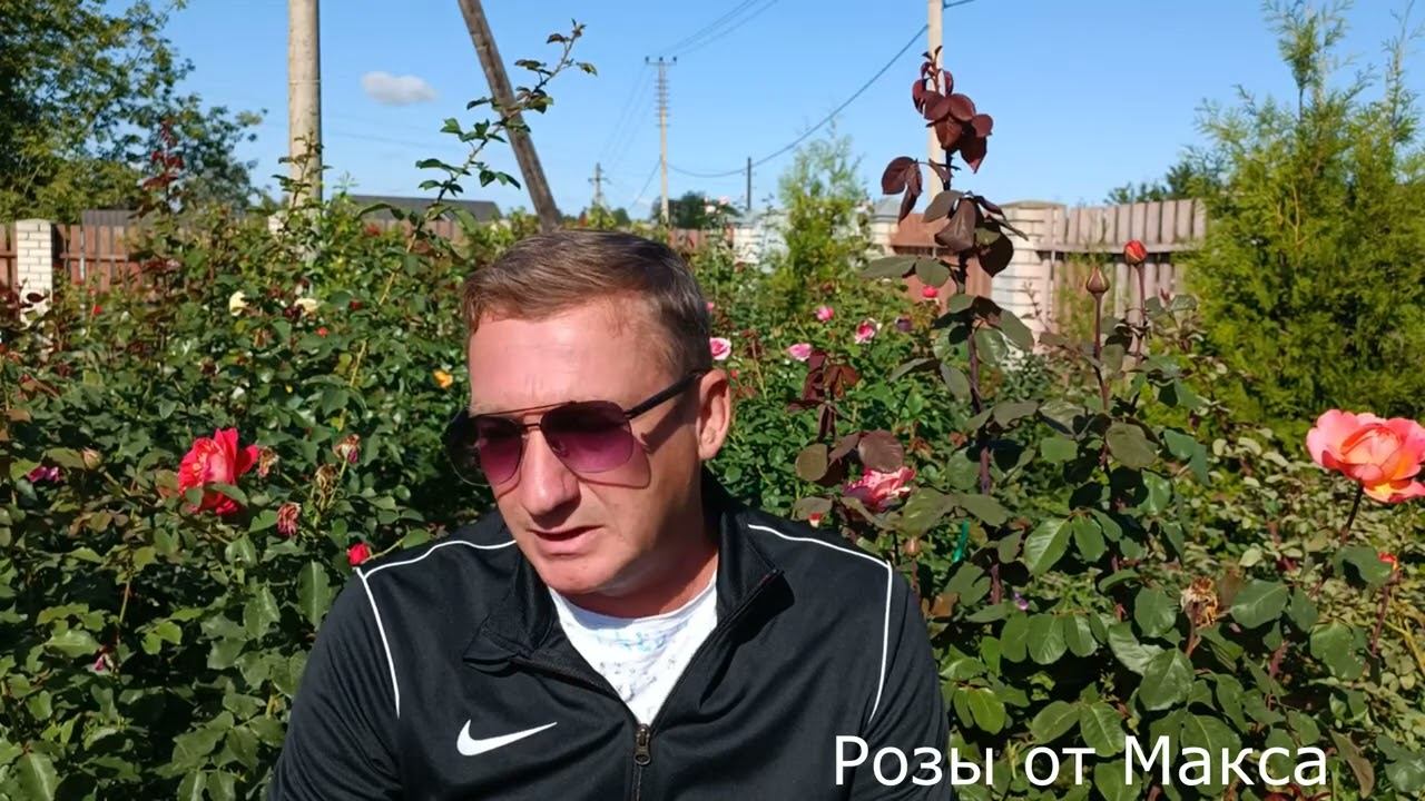 Ознакомительное видео смотреть онлайн