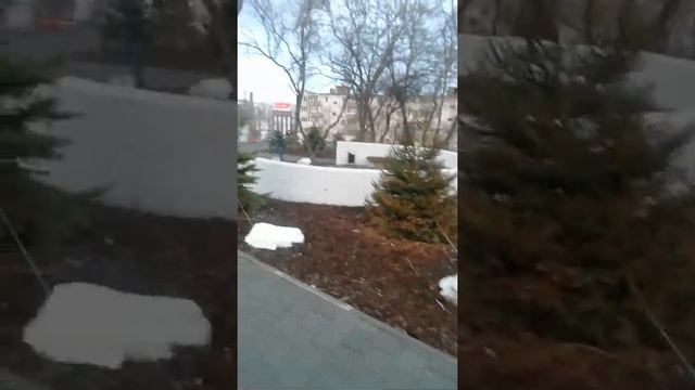 Владивосток. Дальзавод. Авангард. Пушкинский сквер. Встреча с питбулем. смотреть онлайн