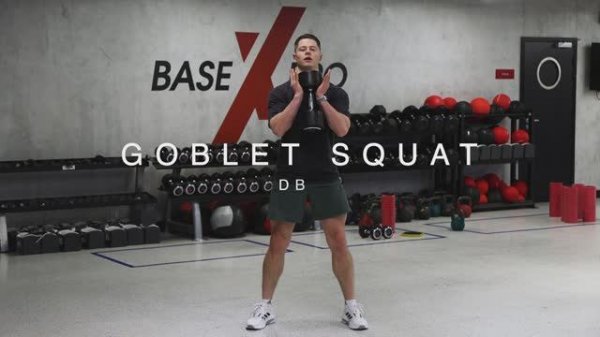GOBLET SQUAT DB/ Присед с гантелью в Гоблет позиции
