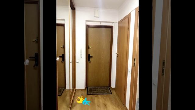 Пишоновская квартира с ремонтом смотреть онлайн