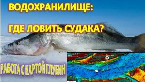 где искать судака на водохранилище.